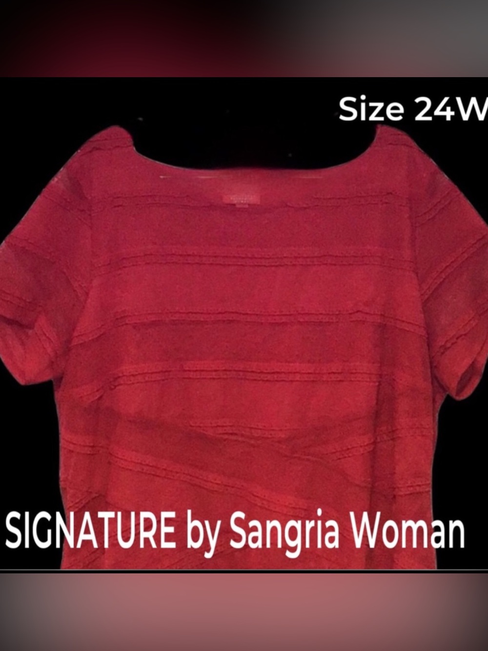 SIGNATURE BY SANGRIA WOMAN Red Netting & Lace Dress Size 24W